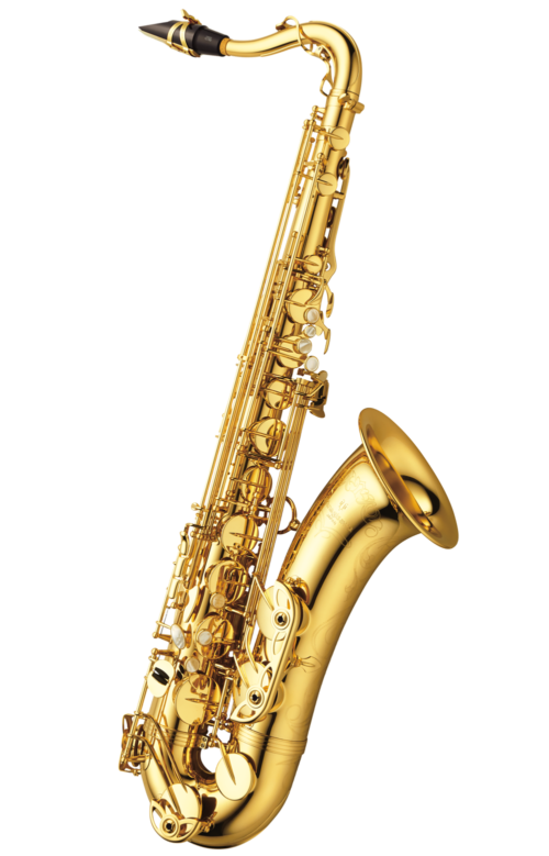Yanagisawa T-WO10 Tenor saxophone elite