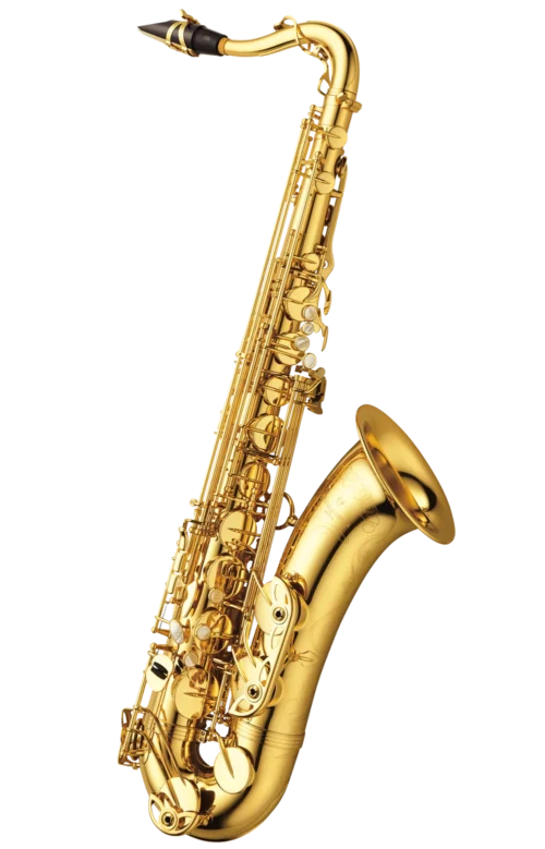 Yanagisawa T-WO10 Tenor saxophone elite