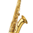 Yanagisawa T-WO10 Tenor saxophone elite