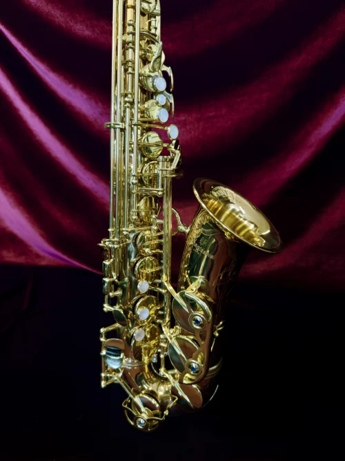 Yani, Yanagisawa, Professional, elite, 902, 992, 901, 991, WO2, WO20, secondhand, Bronze, alto, saxophone
